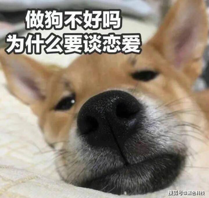 奇特的折纸折完后惊呆了！凯发k8一网友发现一款(图5)