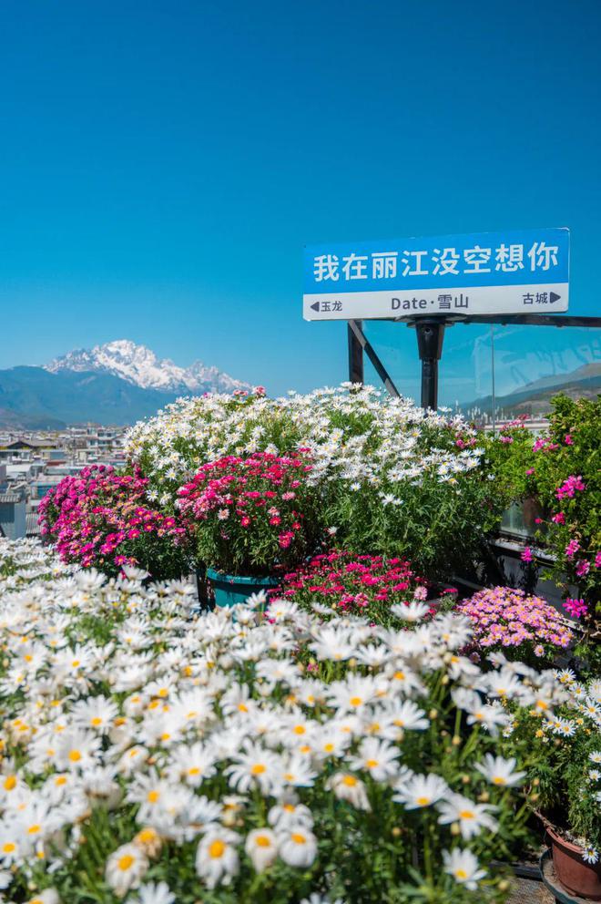 美女嫁到丽江后竟拿屋顶来赚钱！K8凯发登录【读本头条】重庆(图9)