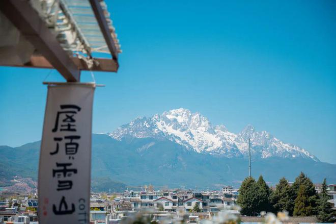 美女嫁到丽江后竟拿屋顶来赚钱！K8凯发登录【读本头条】重庆(图16)