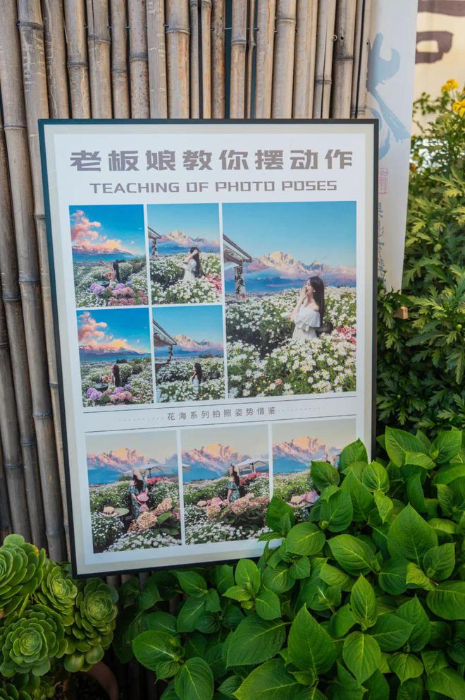 美女嫁到丽江后竟拿屋顶来赚钱！K8凯发登录【读本头条】重庆(图19)